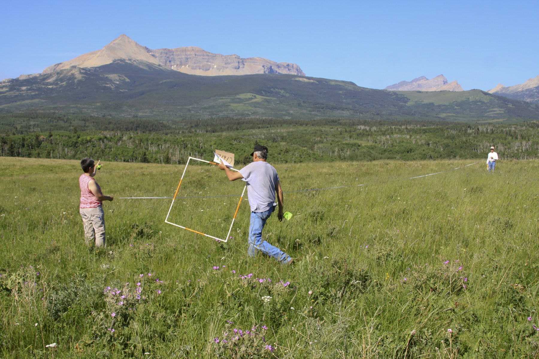 Three people work with a range-monitoring square in a grassy mountain landscape on the Blackfeet Reservation in 2012.