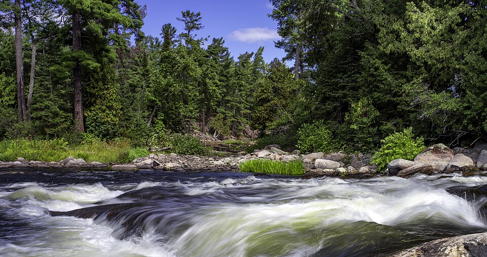 White water flows past rocks on the French River, with a green forest on the opposite shore.