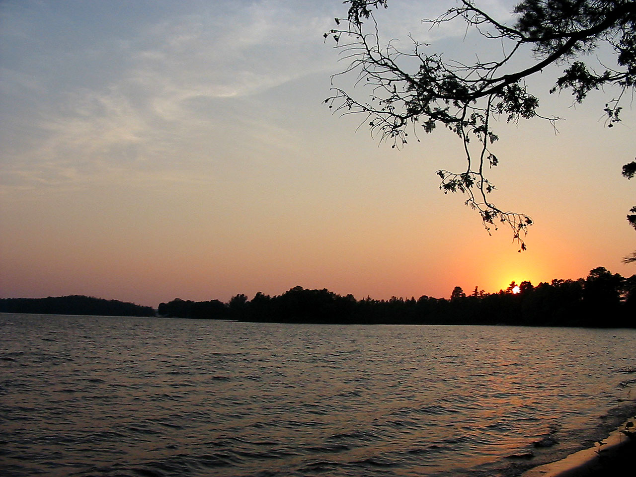 Sunset over Golden Lake with rippled water, a wooded opposite shore and overhanging branches.