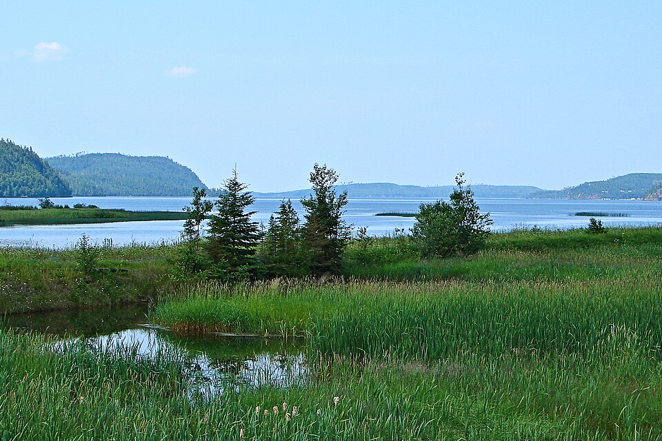 Lake Nipigon from Orient Bay, with wetland grasses, a few conifers and forested hills beneath a clear blue sky.