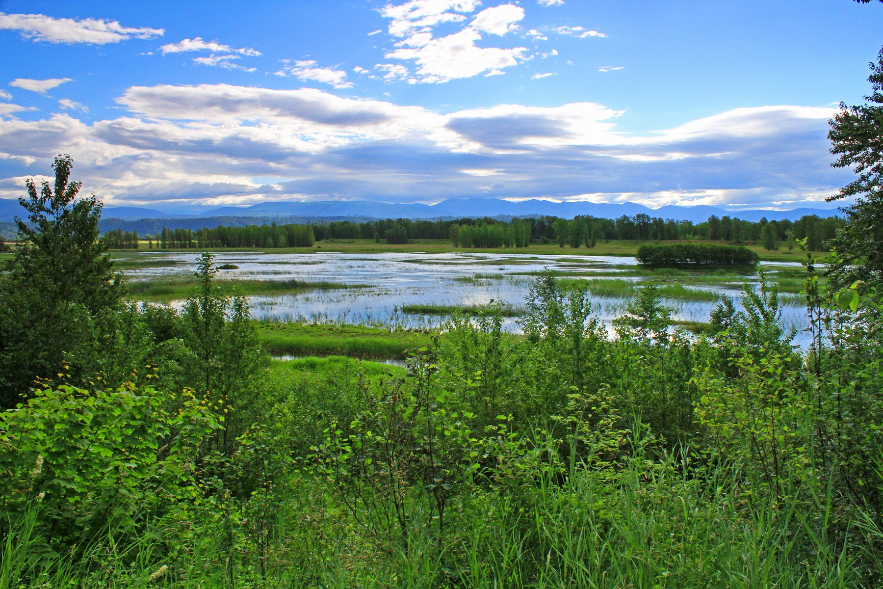 Green wetland vegetation surrounds open water in Kootenai National Wildlife Refuge, with a wooded valley and mountains beneath a cloudy blue sky.