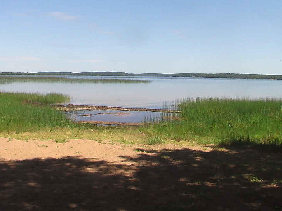 A broad lake beyond a sandy shore, with reeds in the foreground and trees along the distant horizon.