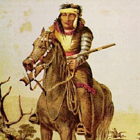 A cropped historical illustration of a mounted Lipan rider holding a long firearm; a horse and sparse vegetation fill the square image.