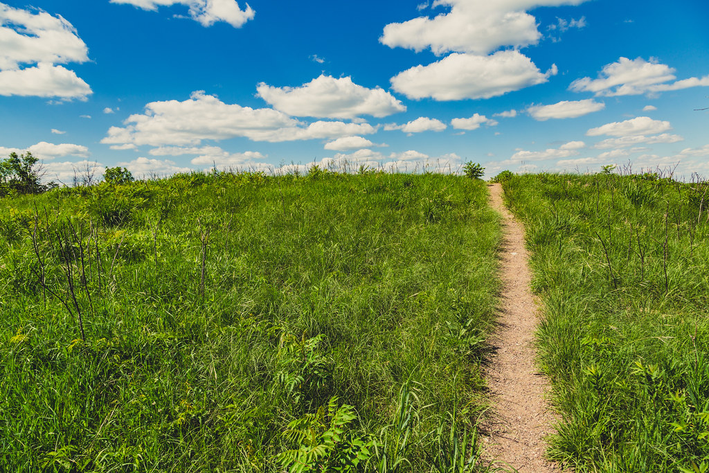 A narrow dirt path through tall green grass beneath a blue sky at the former Upper Sioux Agency State Park in 2017.